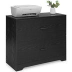 2 Drawer Lateral File Cabinet Printer Stand with Adjustable Bars